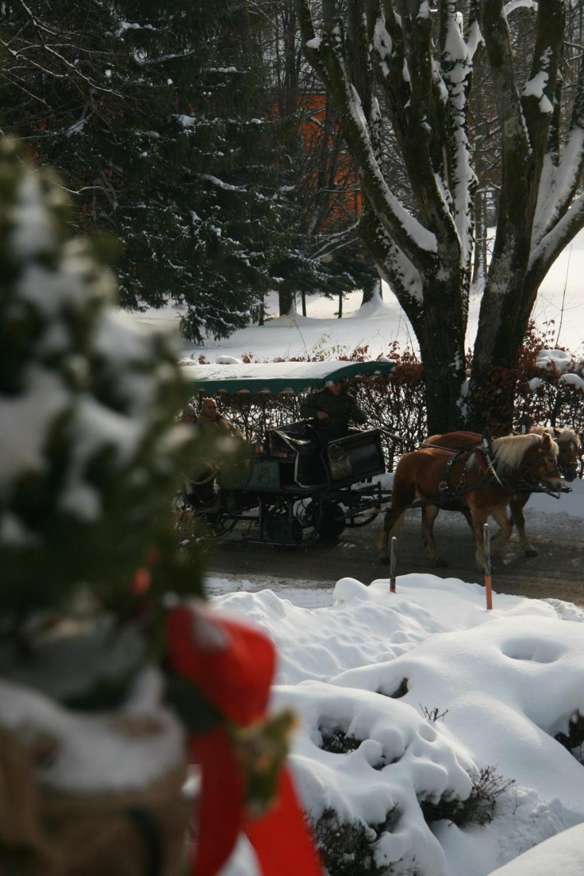 Pension Wolfgangsee Saint Wolfgang Exteriör bild